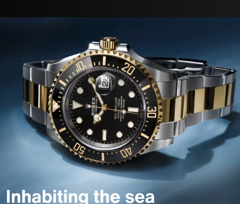 RW72  Men's mechanical watch with 316L steel case 43MM